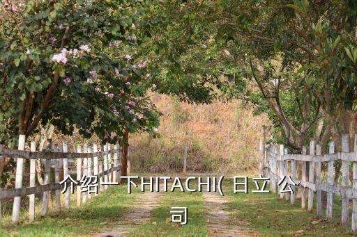 介紹一下HITACHI( 日立 公司