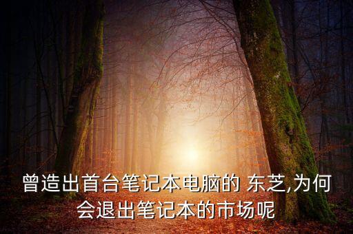 曾造出首臺(tái)筆記本電腦的 東芝,為何會(huì)退出筆記本的市場(chǎng)呢