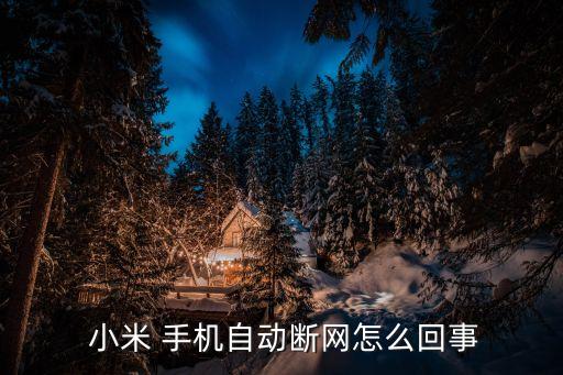  小米 手機(jī)自動(dòng)斷網(wǎng)怎么回事