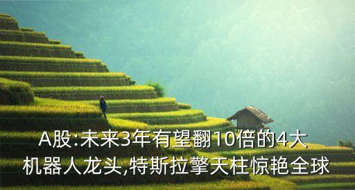 A股:未來3年有望翻10倍的4大 機器人龍頭,特斯拉擎天柱驚艷全球