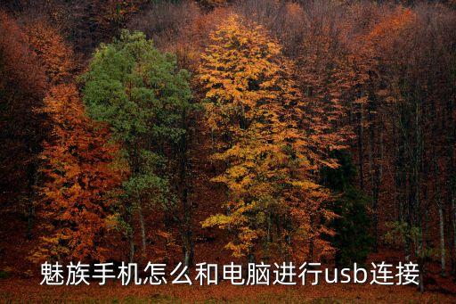 魅族數(shù)據(jù)線3.0和2.0,魅族18能不能用5a數(shù)據(jù)線