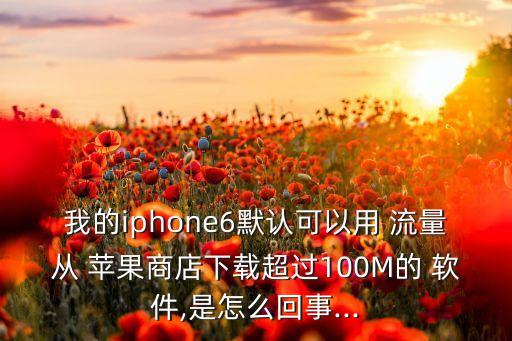 蘋(píng)果6軟件用數(shù)據(jù)流量,蘋(píng)果手機(jī)的數(shù)據(jù)流量在哪里打開(kāi)