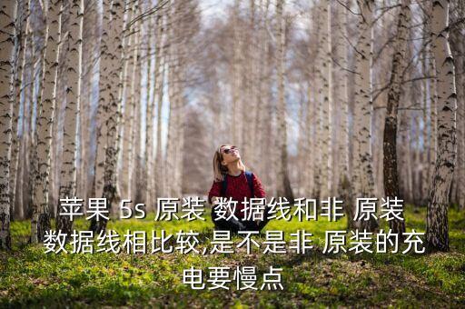 iphone 5s原裝數(shù)據(jù)線,iPhone原裝數(shù)據(jù)線支持快充嗎