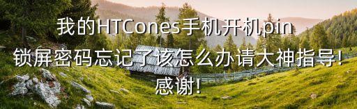 我的HTCones手機(jī)開機(jī)pin 鎖屏密碼忘記了該怎么辦請大神指導(dǎo)!感謝!