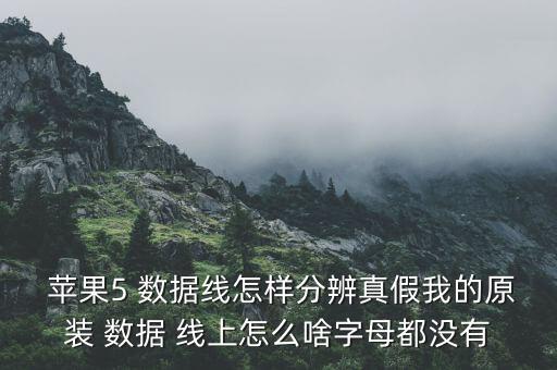  蘋果5 數(shù)據(jù)線怎樣分辨真假我的原裝 數(shù)據(jù) 線上怎么啥字母都沒有
