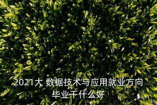 2021大 數(shù)據(jù)技術(shù)與應(yīng)用就業(yè)方向畢業(yè)干什么好