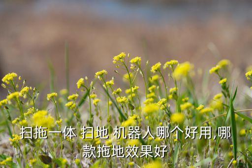 掃拖一體 掃地 機(jī)器人哪個(gè)好用,哪款拖地效果好