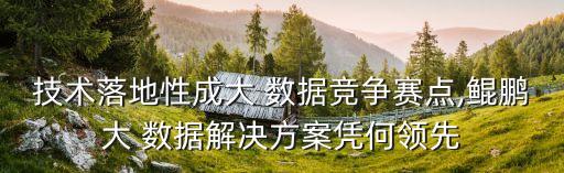 技術(shù)落地性成大 數(shù)據(jù)競(jìng)爭(zhēng)賽點(diǎn),鯤鵬大 數(shù)據(jù)解決方案憑何領(lǐng)先