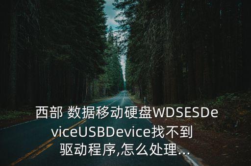  西部 數(shù)據(jù)移動硬盤WDSESDeviceUSBDevice找不到 驅(qū)動程序,怎么處理...