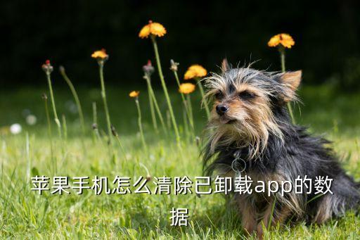  蘋果手機(jī)怎么清除已卸載app的數(shù)據(jù)