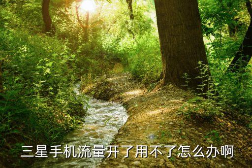  三星手機流量開了用不了怎么辦啊