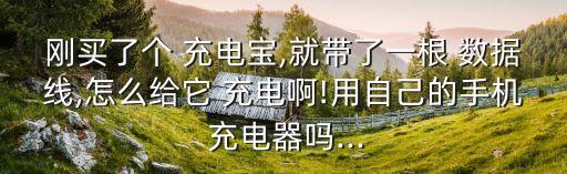 剛買了個(gè) 充電寶,就帶了一根 數(shù)據(jù)線,怎么給它 充電啊!用自己的手機(jī) 充電器嗎...