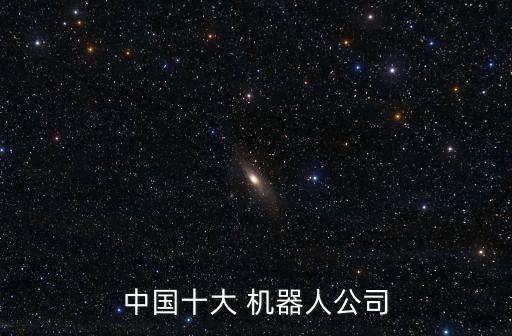 中國(guó)十大 機(jī)器人公司