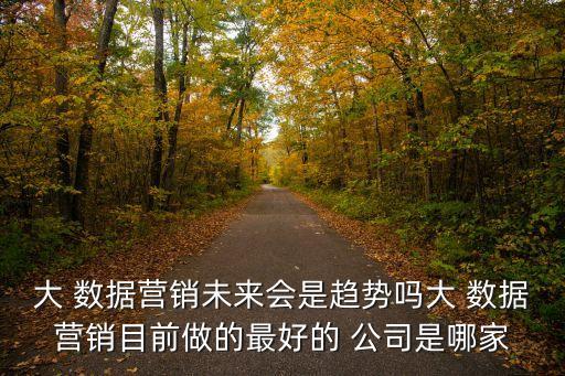 大數(shù)據(jù)推送有哪些公司