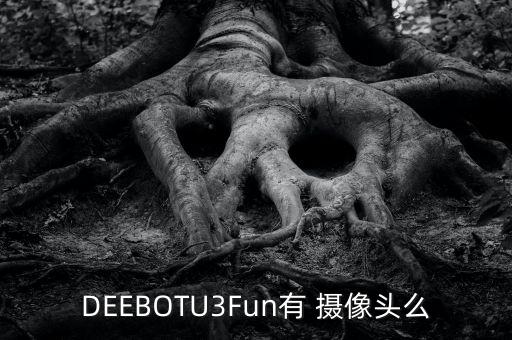 掃地機(jī)器人 有攝像頭