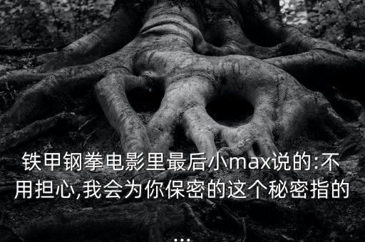 鐵甲鋼拳電影里最后小max說的:不用擔(dān)心,我會(huì)為你保密的這個(gè)秘密指的...