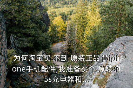 數(shù)據(jù)線(xiàn)買(mǎi)不到原裝,為什么買(mǎi)不到原裝充電器