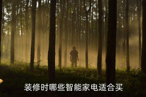  裝修時(shí)哪些智能家電適合買