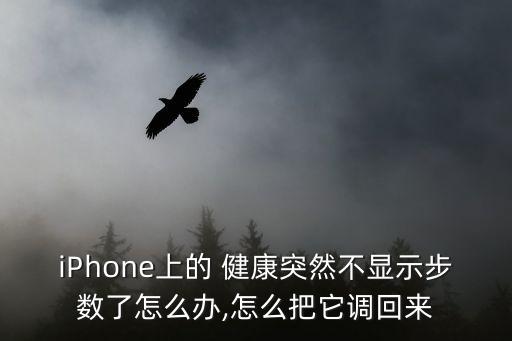 iPhone上的 健康突然不顯示步數(shù)了怎么辦,怎么把它調(diào)回來