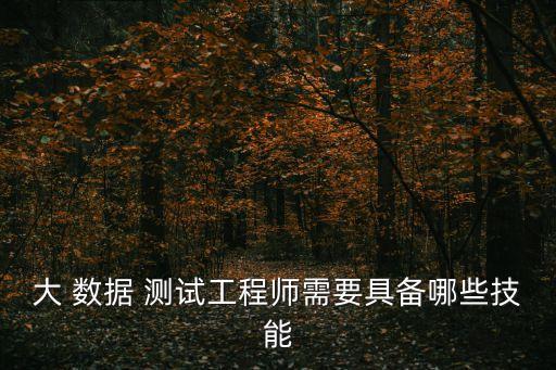 大數(shù)據(jù)測(cè)試是什么