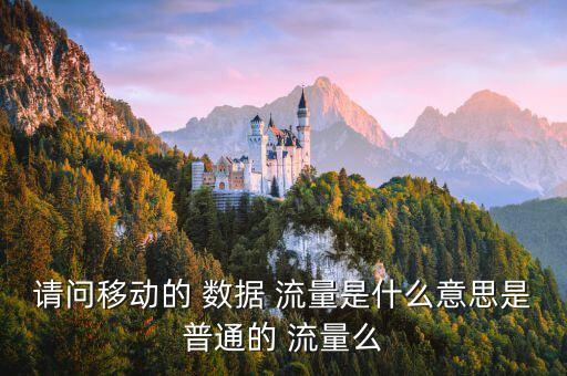 請問移動的 數(shù)據(jù) 流量是什么意思是普通的 流量么