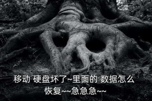 移動硬盤怎么恢復(fù)數(shù)據(jù)