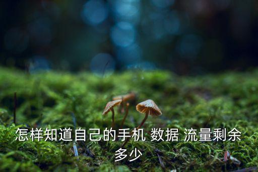 如何查看移動數(shù)據(jù)流量,怎樣查看移動數(shù)據(jù)流量使用情況