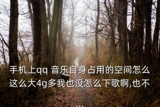 手機(jī)上qq 音樂(lè)自身占用的空間怎么這么大4g多我也沒(méi)怎么下歌啊,也不...