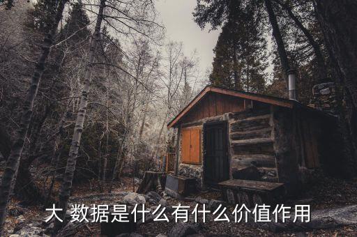 大 數(shù)據(jù)是什么有什么價(jià)值作用