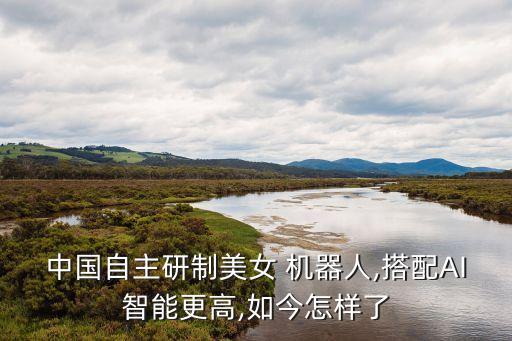 中國自主研制美女 機器人,搭配AI智能更高,如今怎樣了