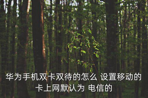 移動(dòng)數(shù)據(jù)設(shè)置 電信,電信卡移動(dòng)數(shù)據(jù)突然不能用了