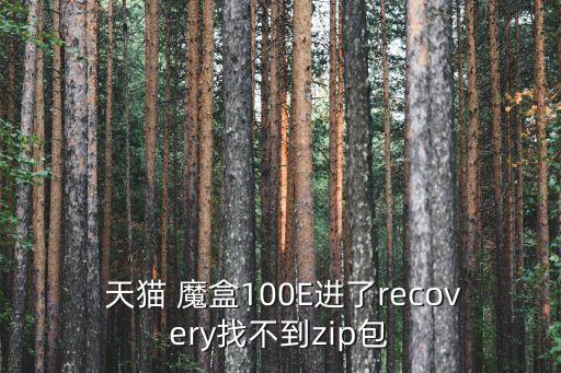  天貓 魔盒100E進了recovery找不到zip包
