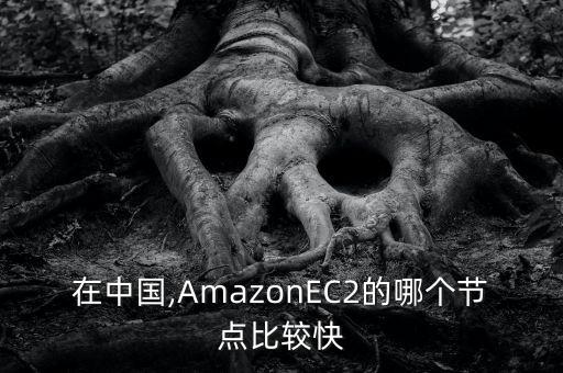 在中國,AmazonEC2的哪個節(jié)點比較快