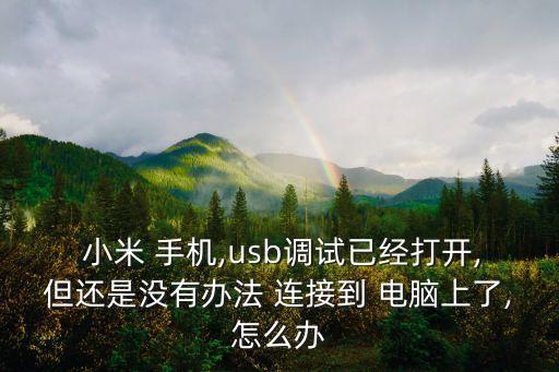  小米 手機(jī),usb調(diào)試已經(jīng)打開(kāi),但還是沒(méi)有辦法 連接到 電腦上了,怎么辦
