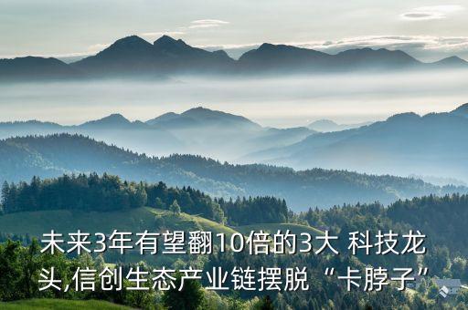 未來3年有望翻10倍的3大 科技龍頭,信創(chuàng)生態(tài)產(chǎn)業(yè)鏈擺脫“卡脖子”