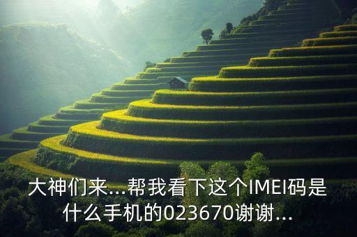 機(jī)器人imei號(hào)是什么樣的,imei碼是什么樣的