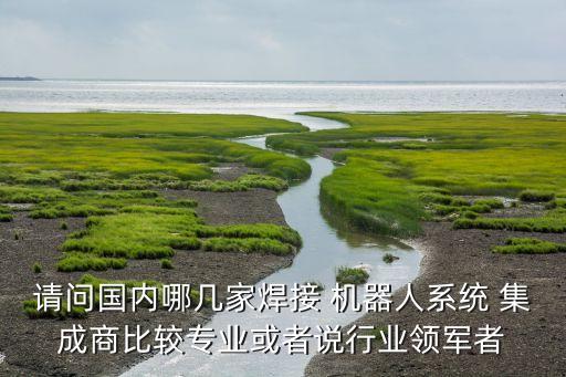 請問國內(nèi)哪幾家焊接 機(jī)器人系統(tǒng) 集成商比較專業(yè)或者說行業(yè)領(lǐng)軍者