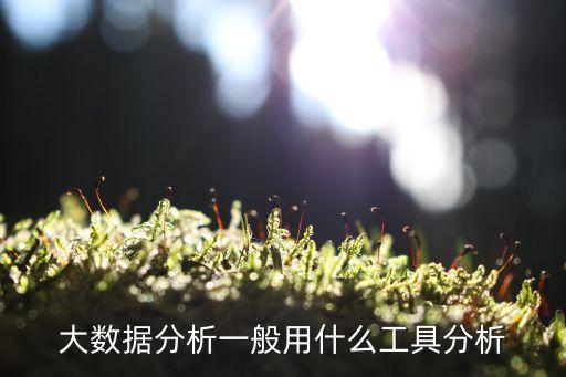 大數(shù)據(jù)處理框架 哪些,python 數(shù)據(jù)處理框架