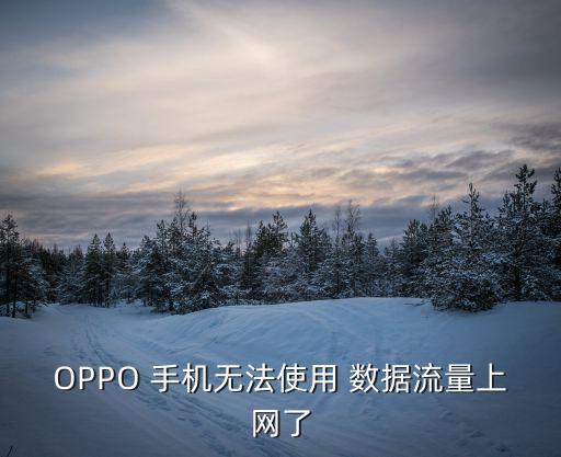 OPPO 手機無法使用 數(shù)據(jù)流量上網(wǎng)了