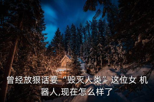 曾經(jīng)放狠話要“毀滅人類”這位女 機(jī)器人,現(xiàn)在怎么樣了