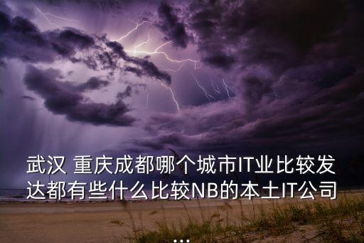 武漢 重慶成都哪個城市IT業(yè)比較發(fā)達都有些什么比較NB的本土IT公司...
