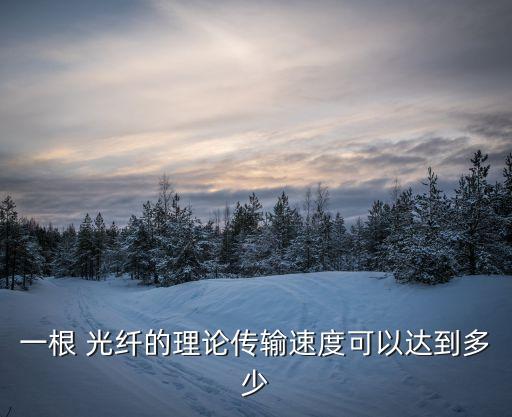 一根 光纖的理論傳輸速度可以達(dá)到多少