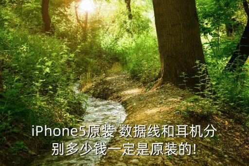 iphone5正版數(shù)據(jù)線,iPhone5用的什么數(shù)據(jù)線