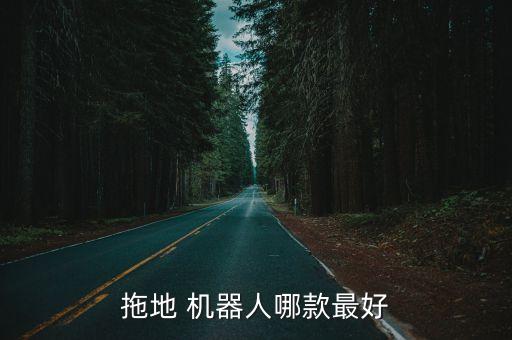 很大的機器人的圖片,擎天柱機器人圖片