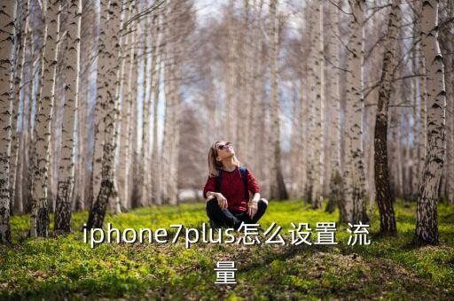 iphone7plus怎么設(shè)置 流量