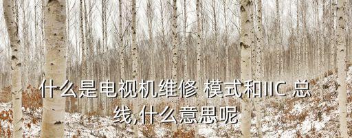 什么是電視機維修 模式和IIC 總線,什么意思呢