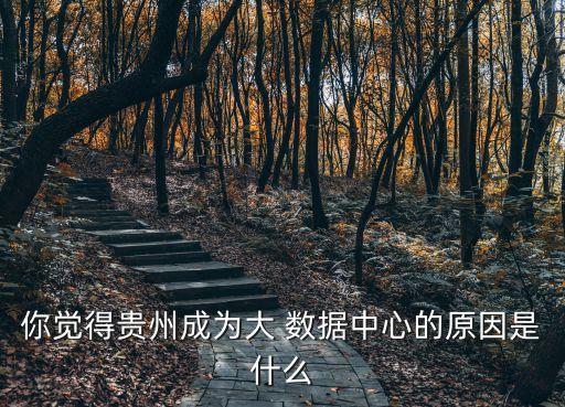 貴陽云數(shù)據(jù),華為貴陽云數(shù)據(jù)基地