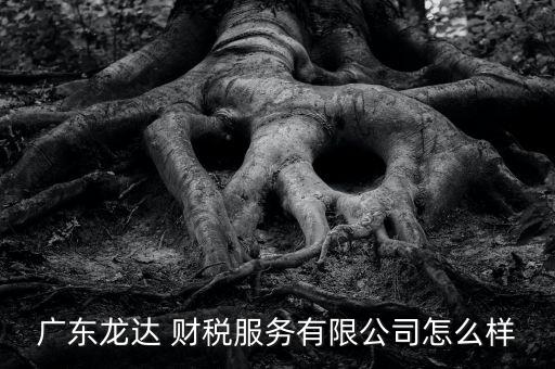 廣東龍達(dá) 財(cái)稅服務(wù)有限公司怎么樣