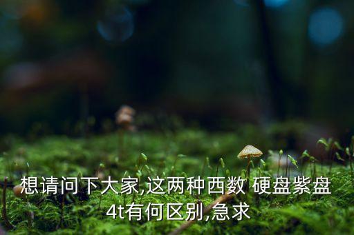 西部數(shù)據(jù)4t監(jiān)控硬盤,監(jiān)控硬盤西部數(shù)據(jù)的好還是希捷的好