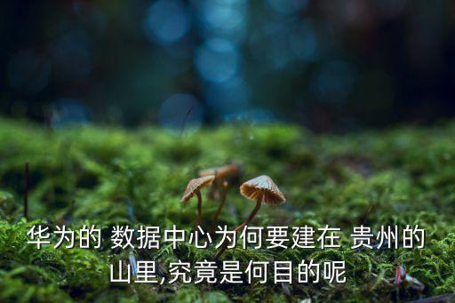 百度數據中心貴州,華為數據中心在貴州哪個位置